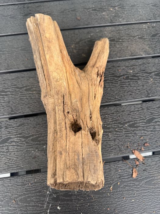 Korzeń do akwarium terrarium krewetkarium dziupla nora