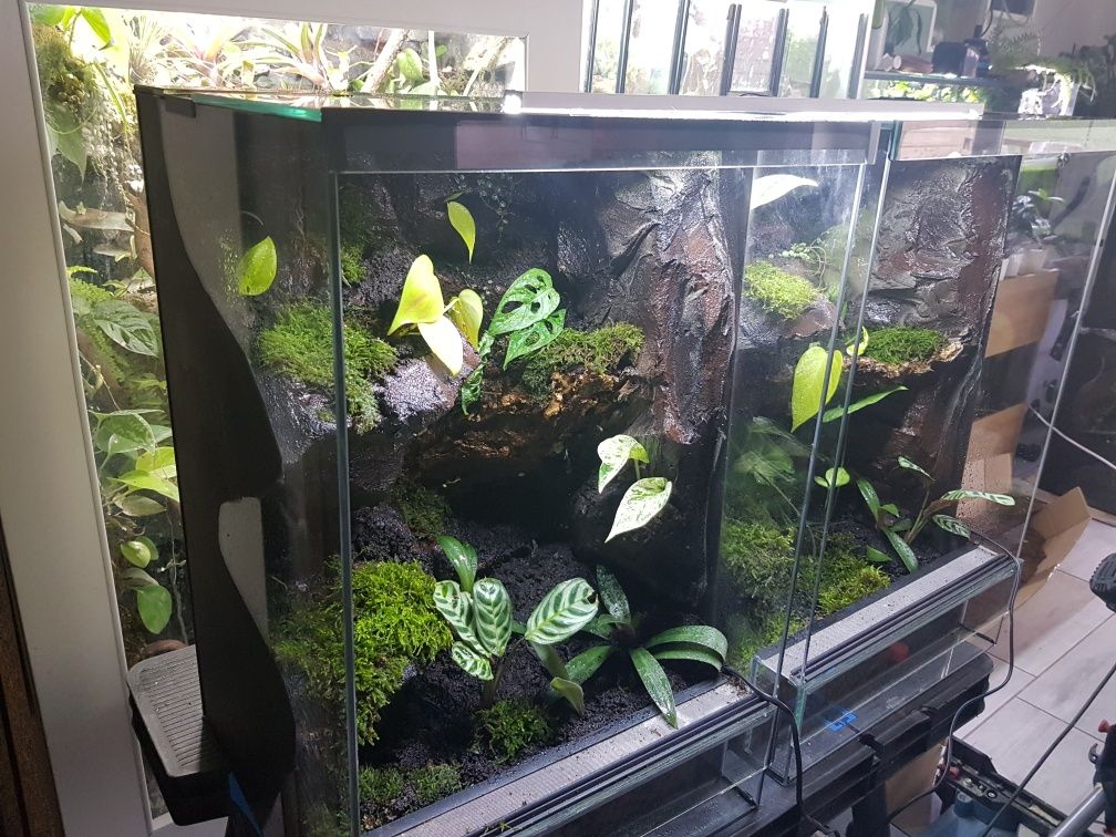 Terrarium tropikalne aktywne biologiczne z wodospadem