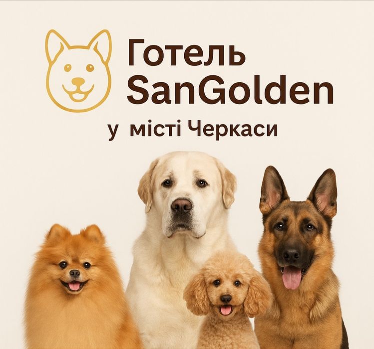 Перетримка та навчання для собак у Черкасах та області