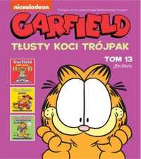 Garfield T.13 Tłusty koci trójpak - Jim Davis, Jim Davis, Piotr W. Ch