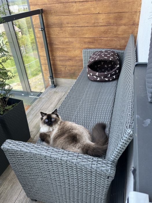 Meble ogrodowe kanapa w ksztalcie L