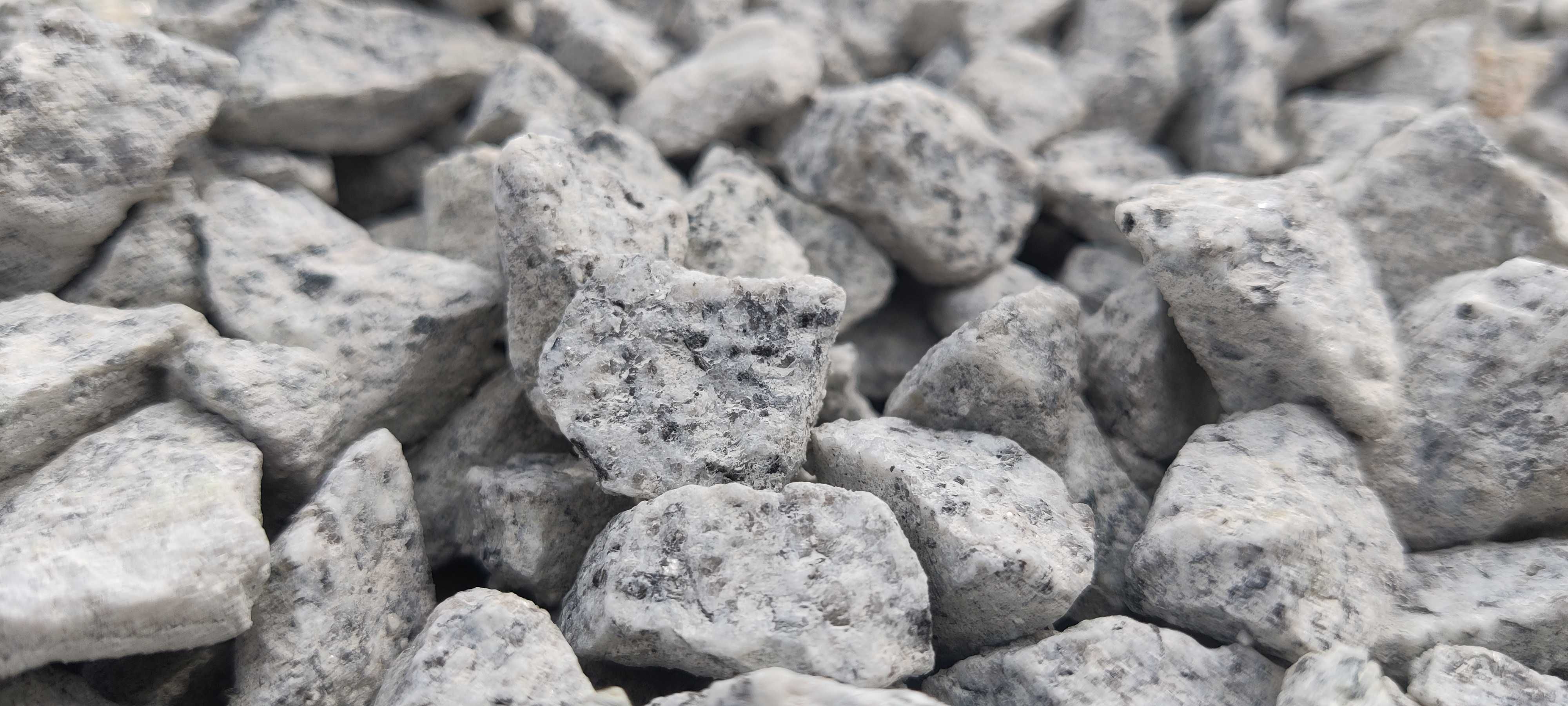 Grys granitowy dalmatyńczyk 8-16 mm, kruszywo ozdobne granitowe