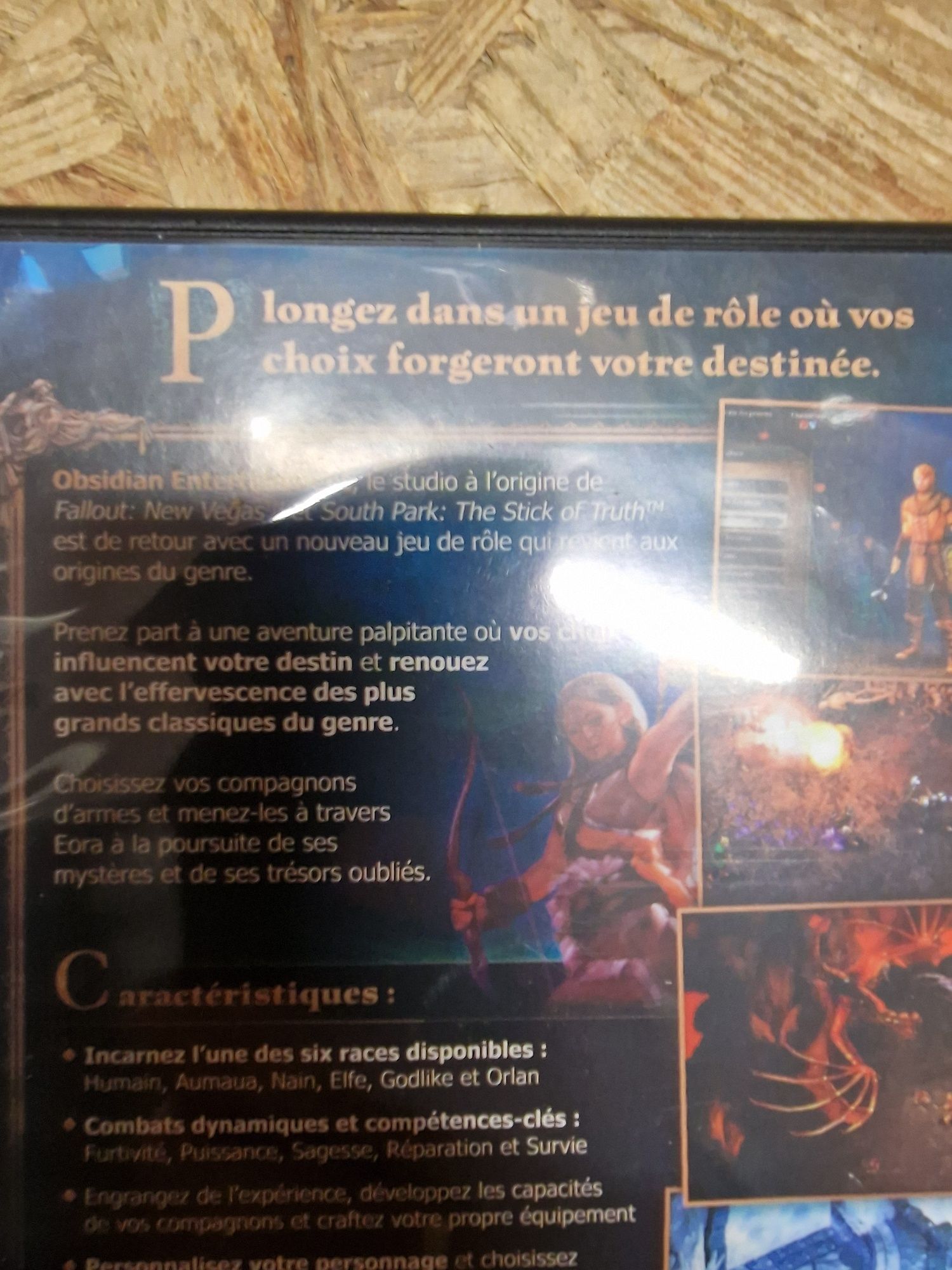 PC DVD Gra Pillars of Eteenity Mac Linux