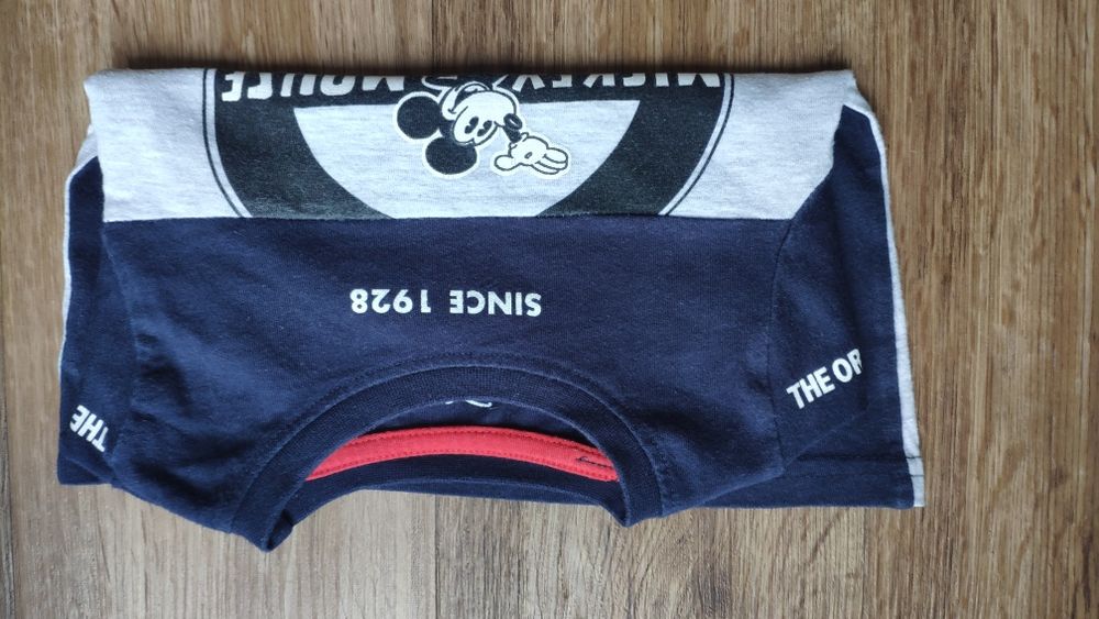 Bluzka z długim rękawem Mickey Diesney