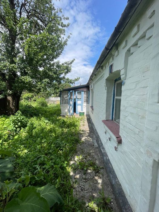 Будинок село Шапіївка