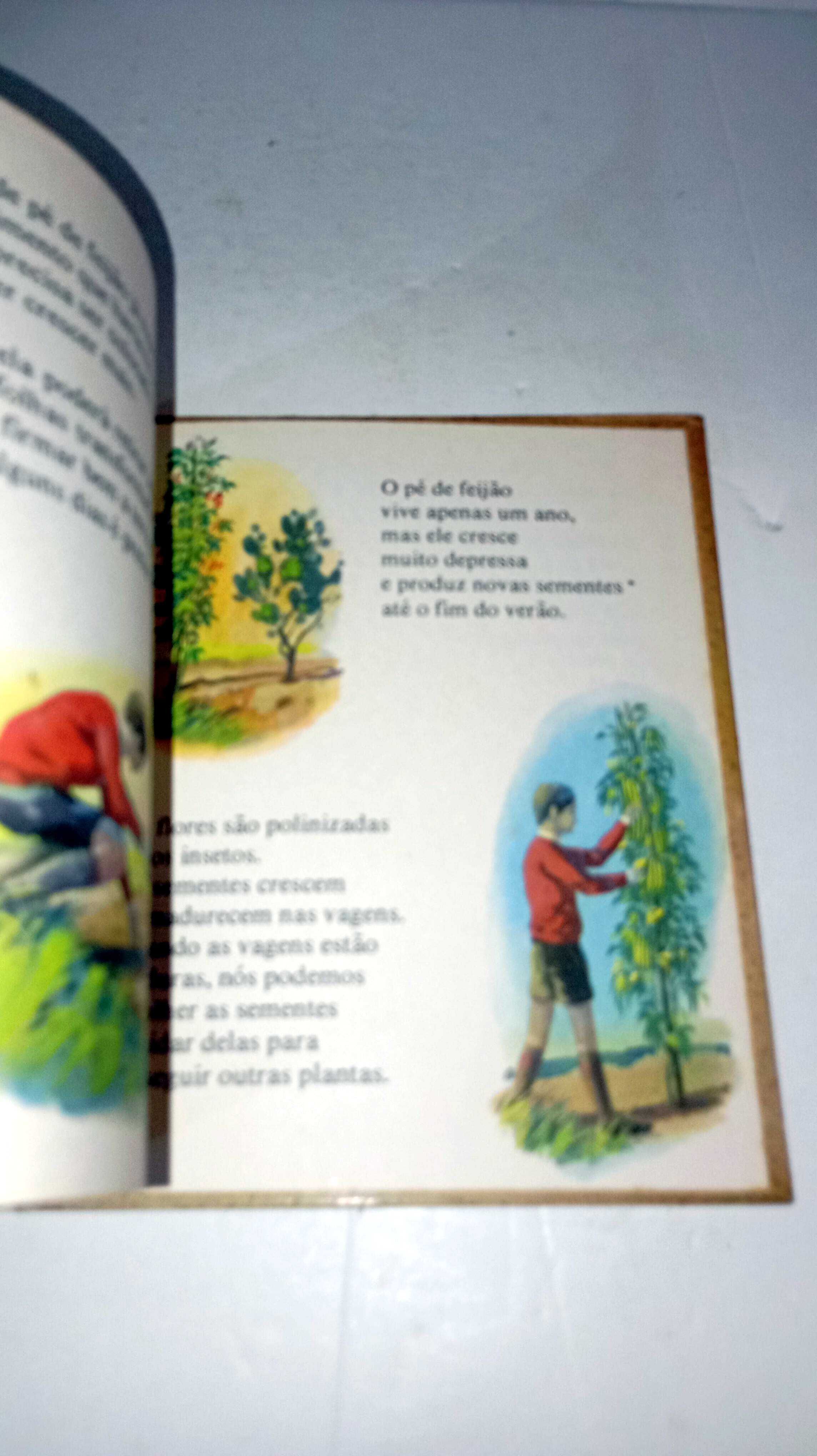 Como Vivem as Flores - Biblioteca das Crianças