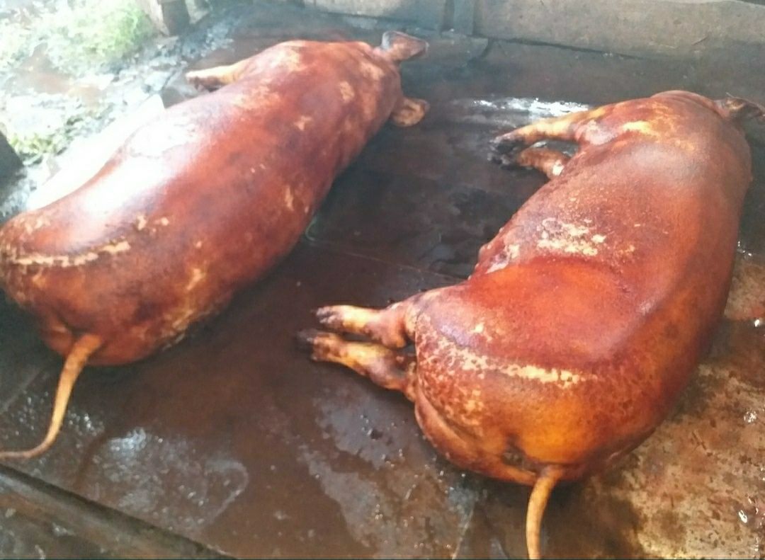 Свинина м'ясо домашніх свиней