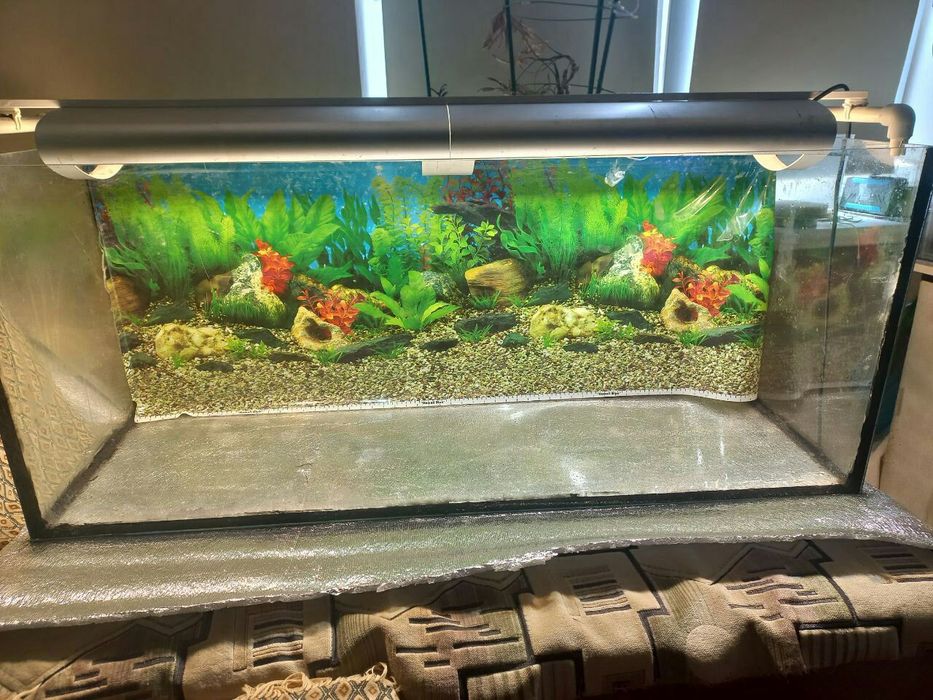 Аквариум на 200 л