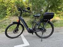 Gazelle Grenoble C8
