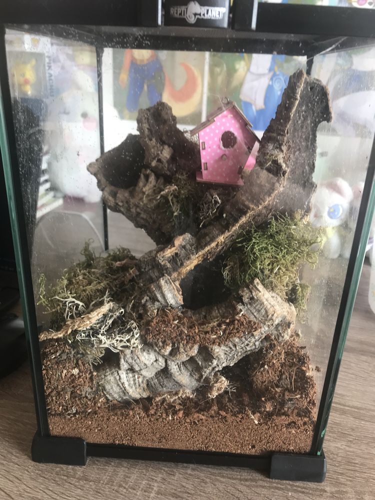 Terrarium 20x20x30