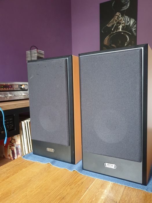 Acoustic Energy aegis one