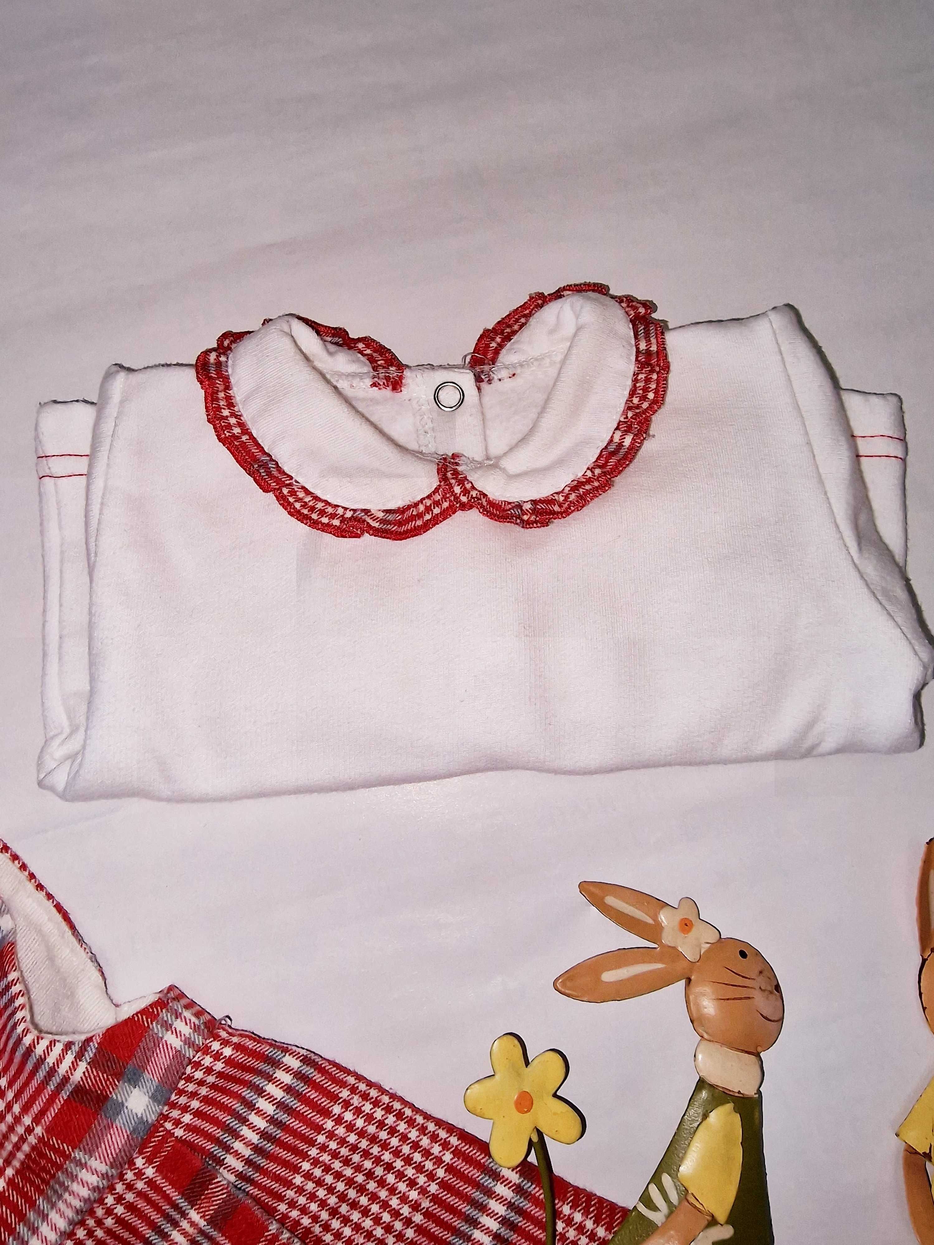 Conjunto 12 meses