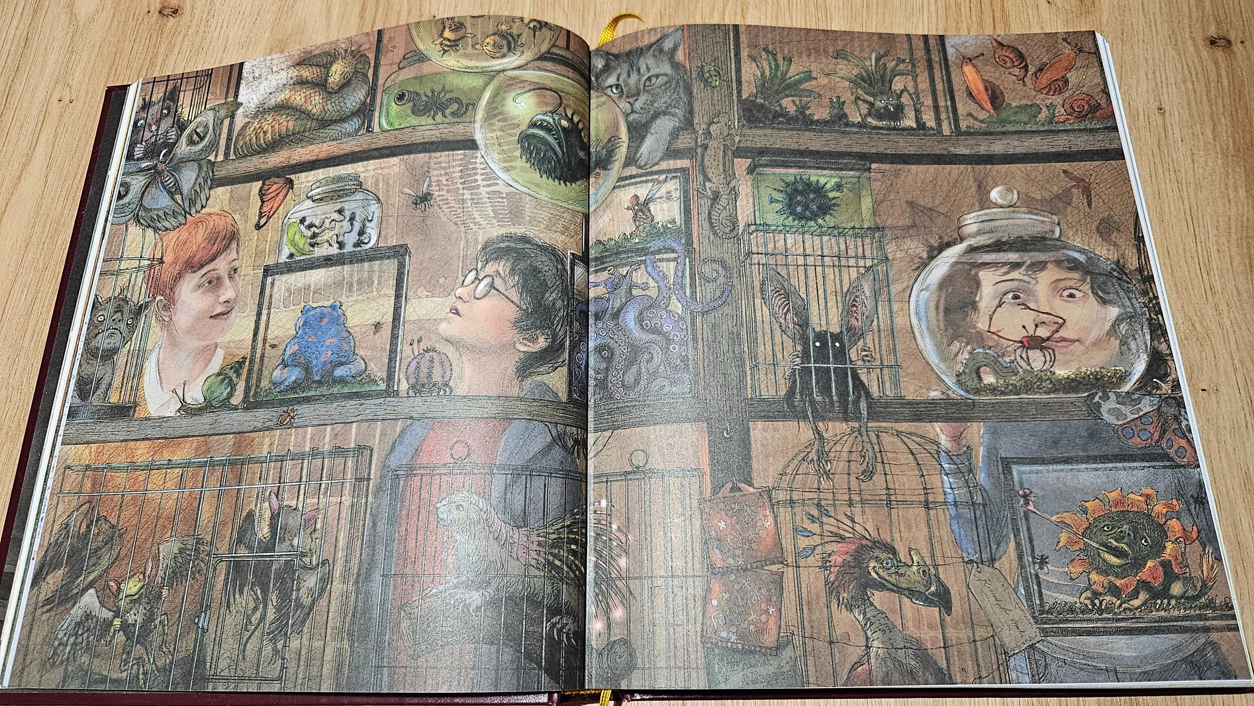Harry Potter i więzień Azkabanu: ilustrowane wydanie (rosyjski)