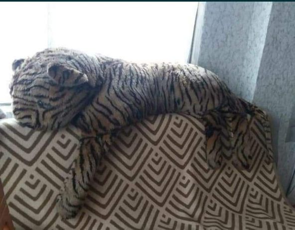 Tygrys poduszka pluszowa
