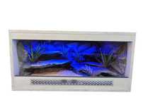 Terrarium pustynne nr720 80/40/40 dla gekona lamparciego DOSTĘPNE