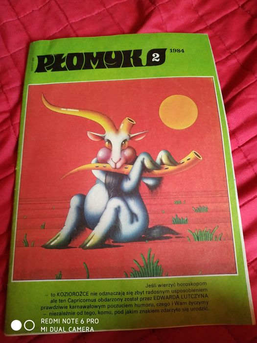 Płomyk nr 2 ,1984 rok