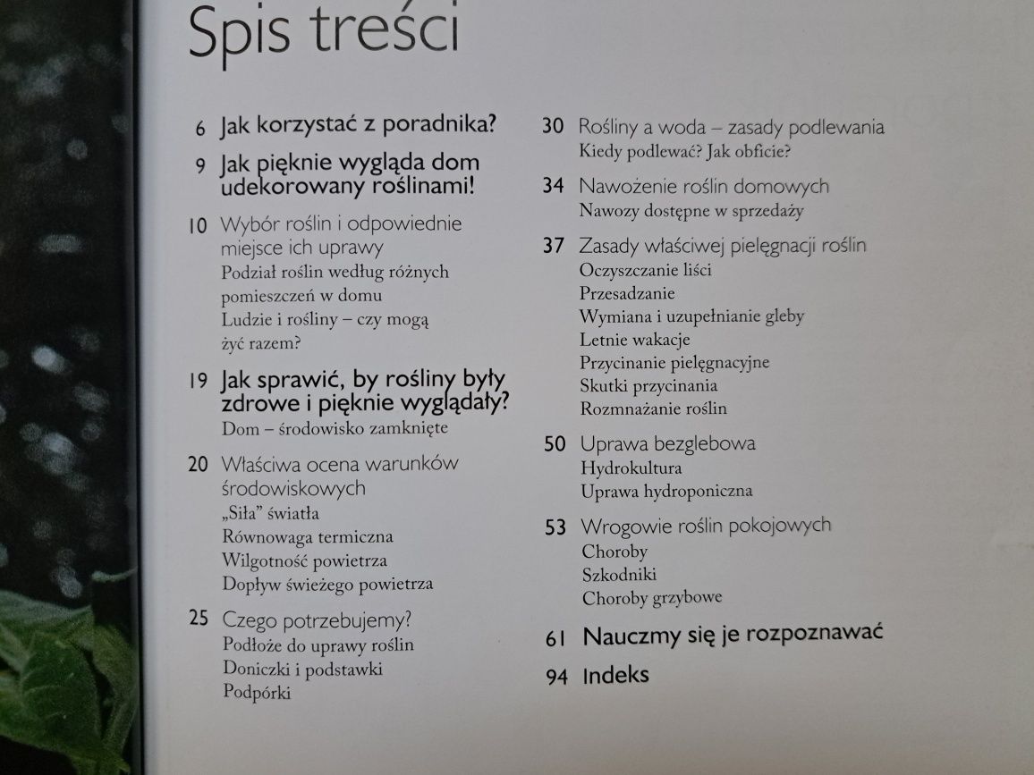Zieleń w moim domu