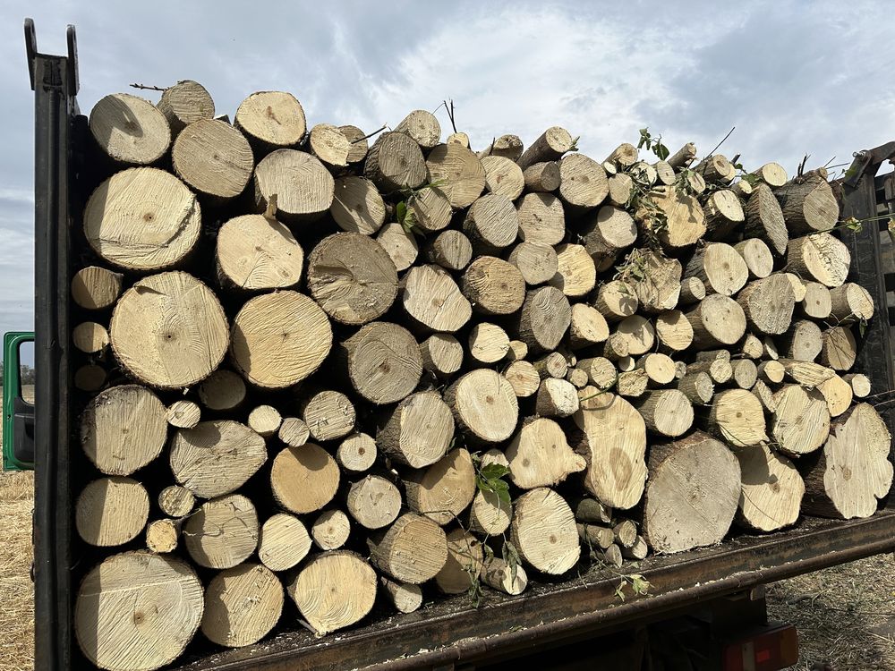 дрова твердых пород дёшево 1350 с документами