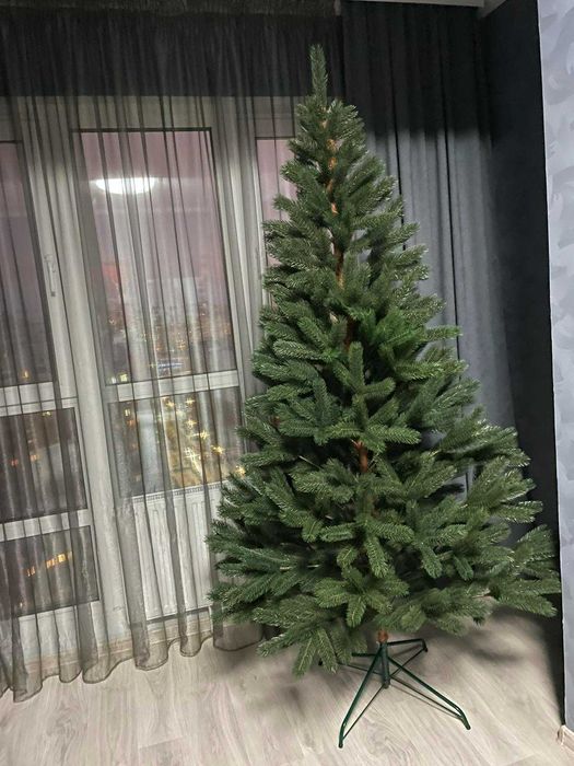 Ялинка лита елка ёлка ель Смерека "Буковельська" зелена Преміум-клас