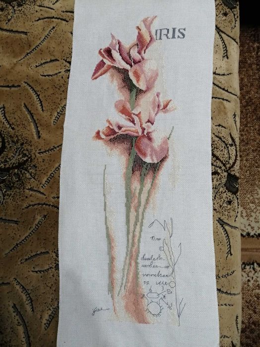 Ірис вишита картина