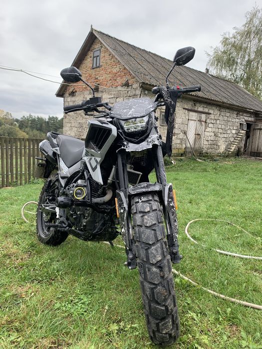 Tekken 250 rline2024