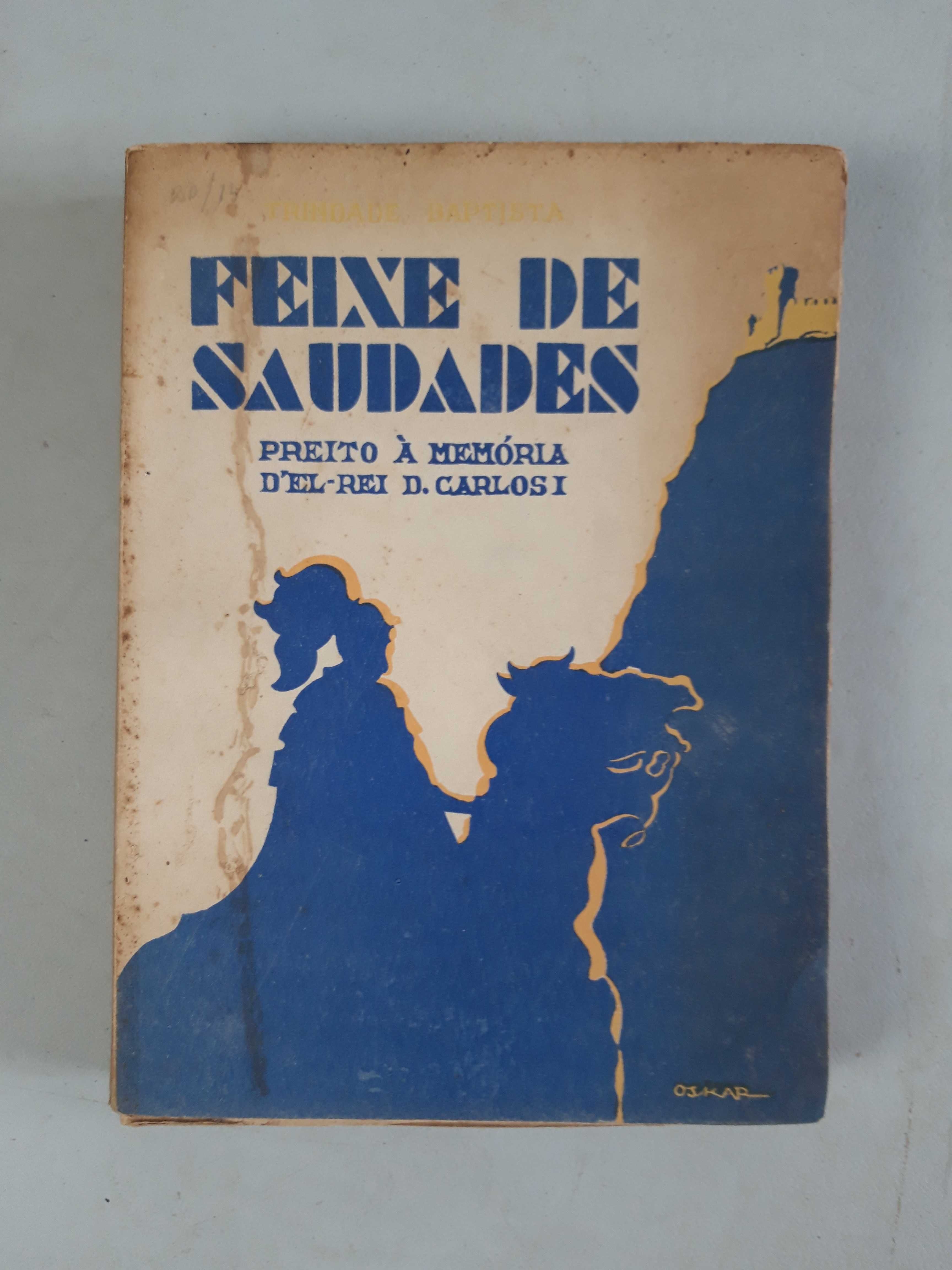 Livro Ref Par1  - Feixe de Saudades