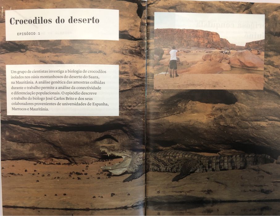 DVD As novas viagens philosophicas-Arte e Ciência