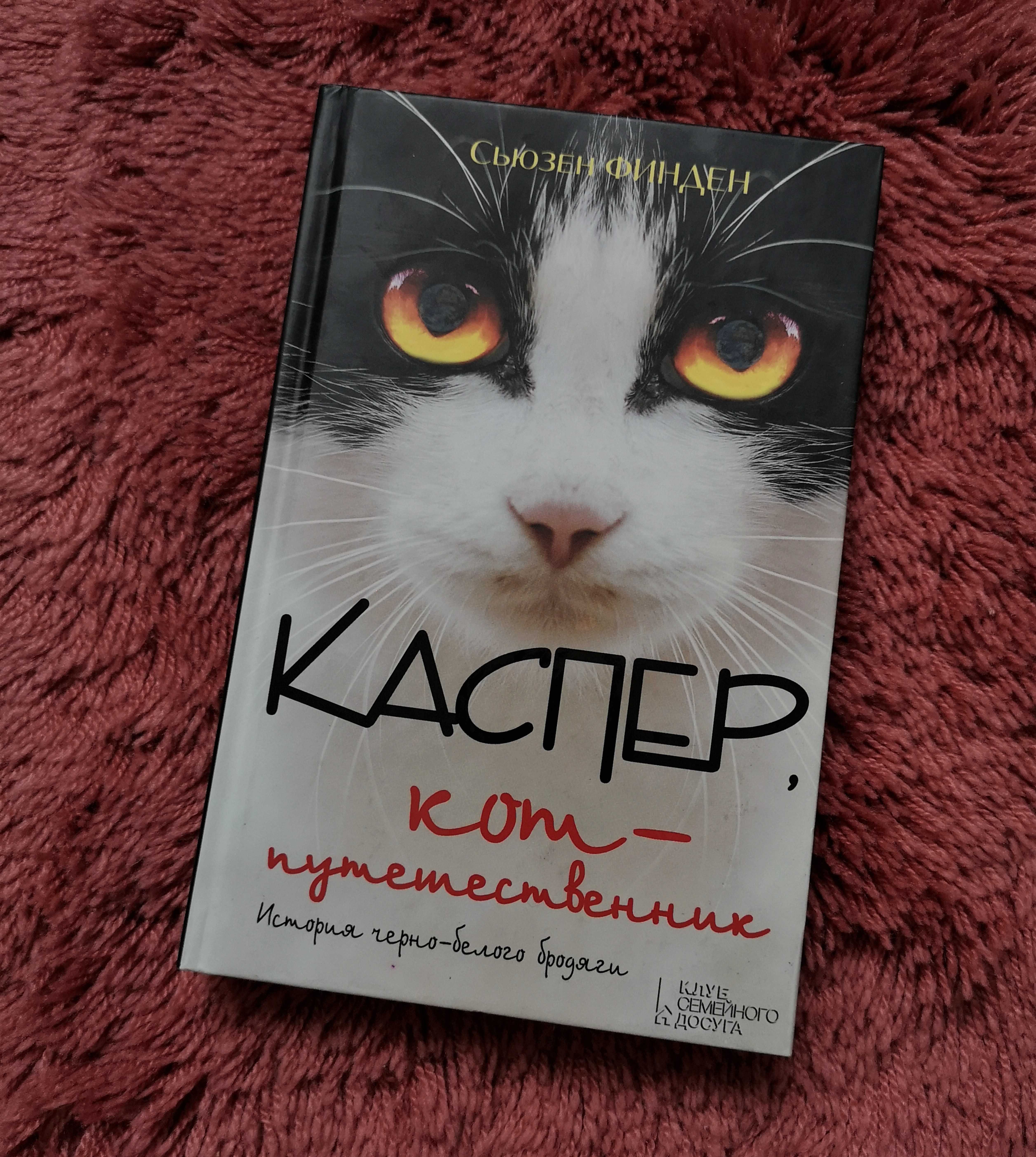 Каспер, кот-путешествиник. Сьюзан Финден