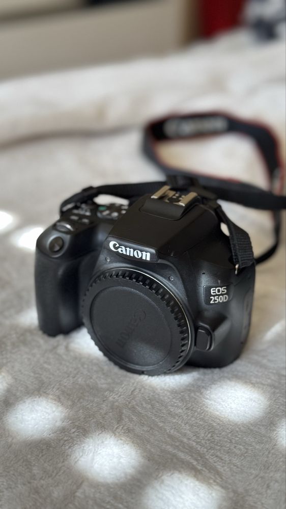 Canon EOS 250D + acessorios + lentes