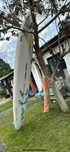 Deska windsurfingowa