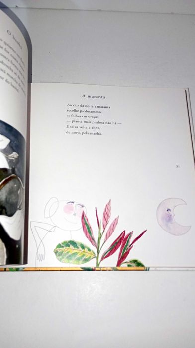 Herbário- Jorge Sousa Braga