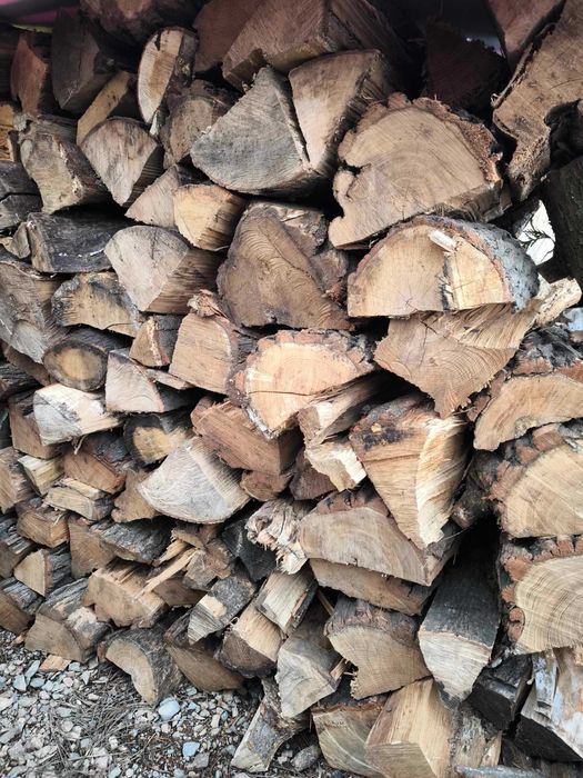 Drewno kominkowe suche