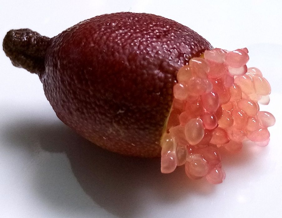 Frutas ZERO PESTICIDAS, Kiwi, Limão Caviar, Yuzu, Mão de Buda, Toranja