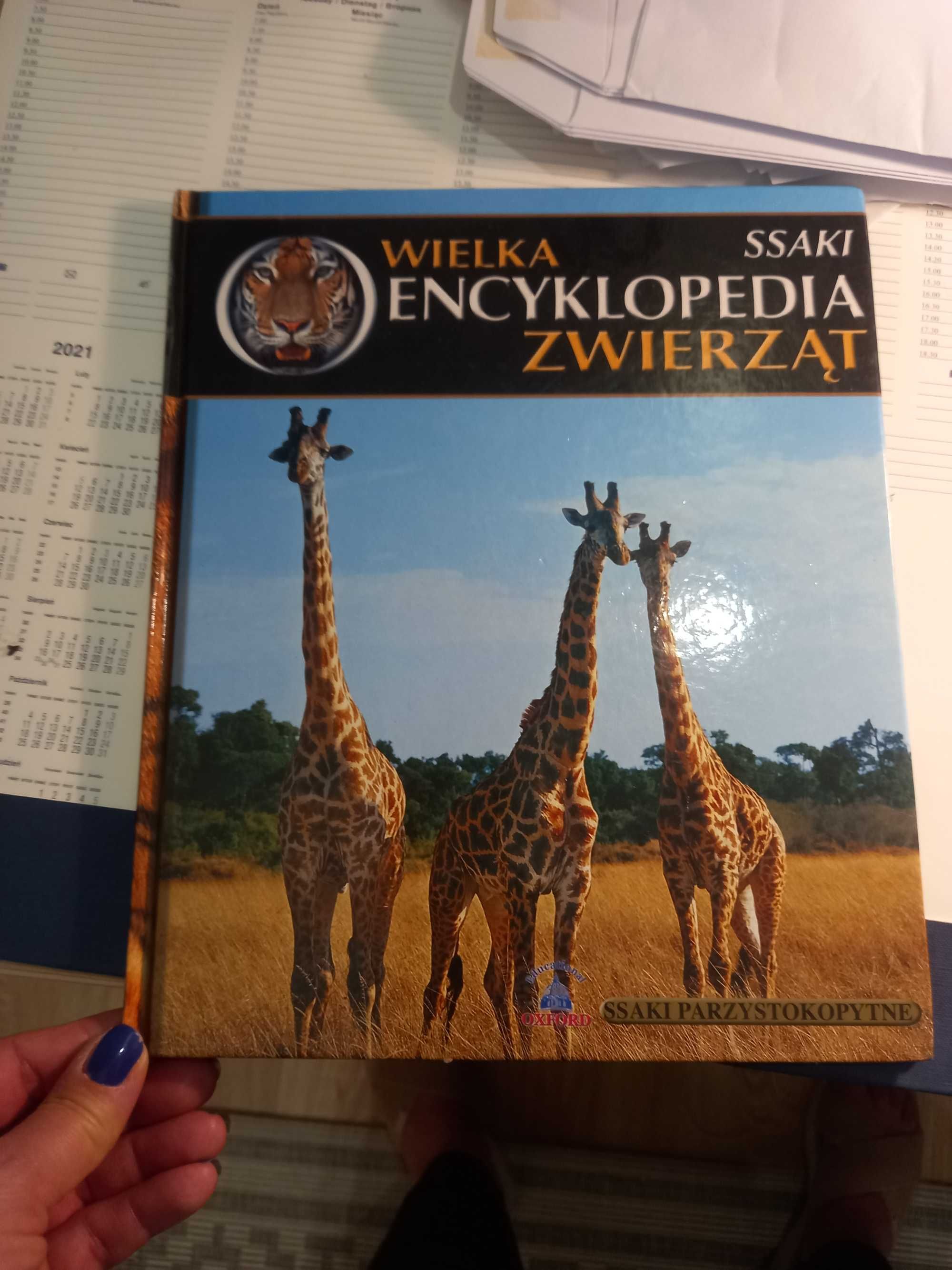 Wielka encyklopedia zwierząt Ssaki parzystokopytne