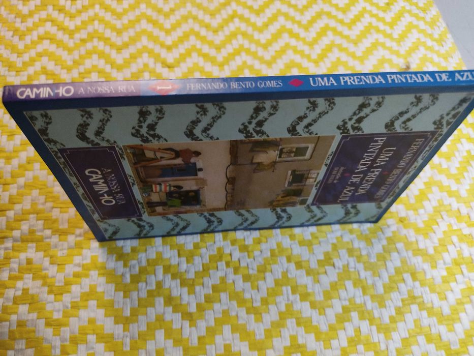 UMA PRENDA PINTADA DE AZUL – 
Fernando Bento Gomes