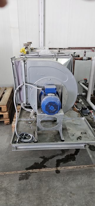 Z pieczarek wyposażenie