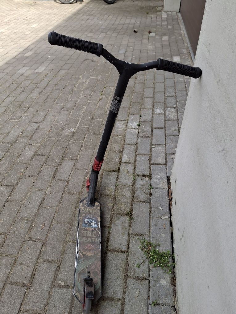 Hulanoga zwykła/sporotwa