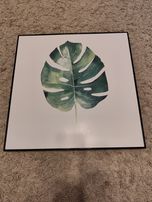 Obrazy deco box Liść 50x50 - 40 zł  za 2 sztuki