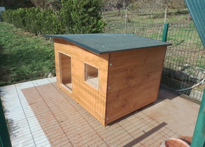 Casotas para cães