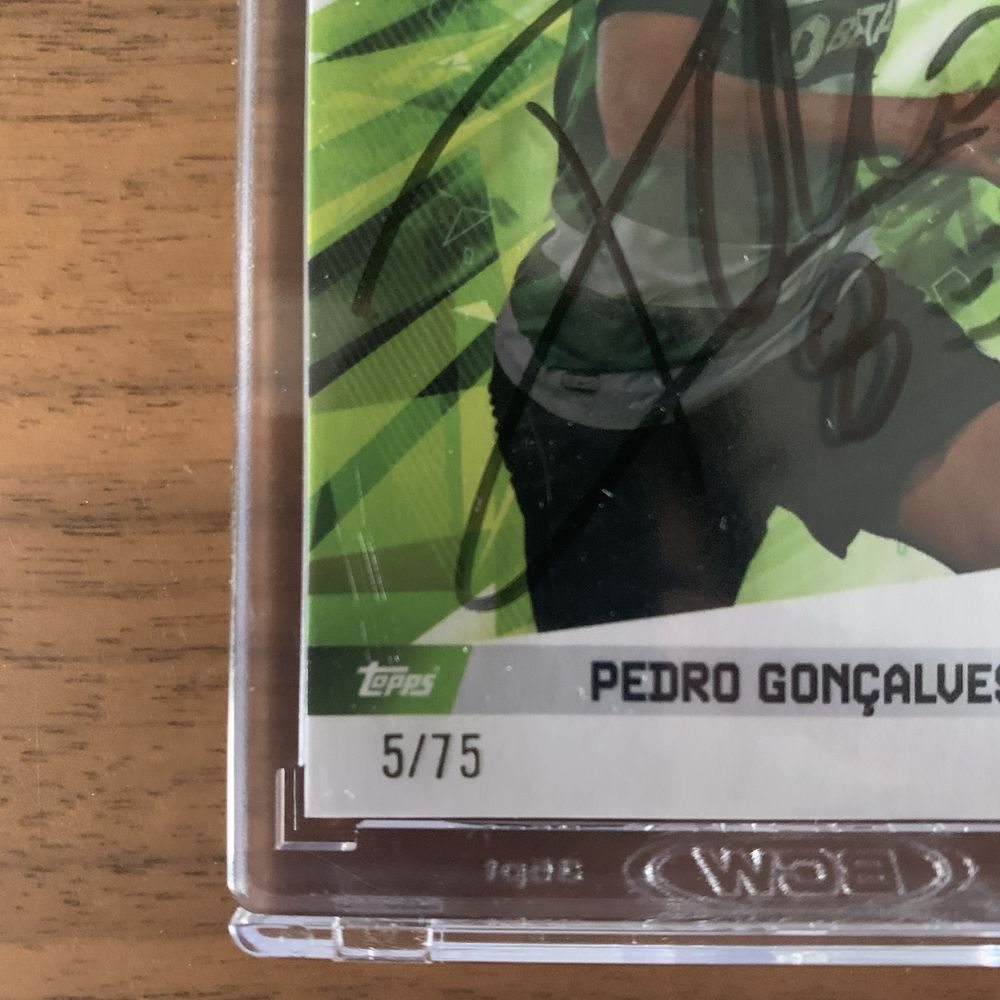 Pedro Gonçalves | Carta assinada dentro de caixa magnética