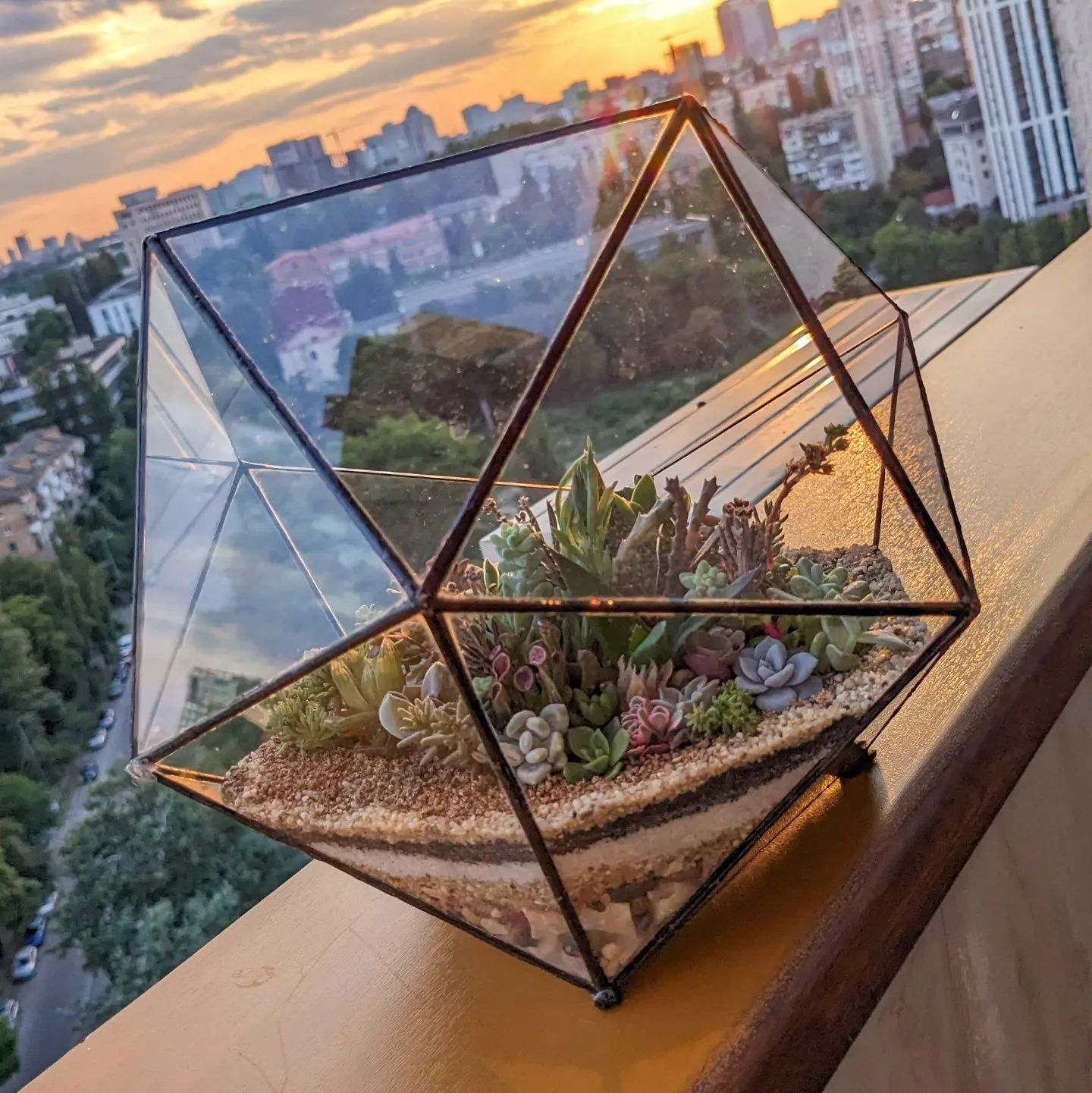 Геометричний флораріум у склі із сукулентами