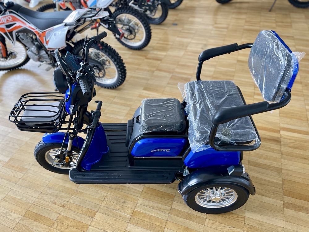 Трицикл акумуляторний Forte FAMILY-WS1000