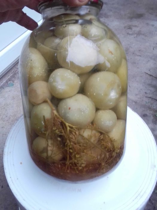 Продукція       домашня