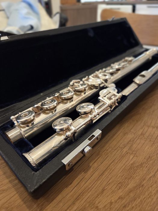 Profesjonalny flet poprzeczny dla początkujących