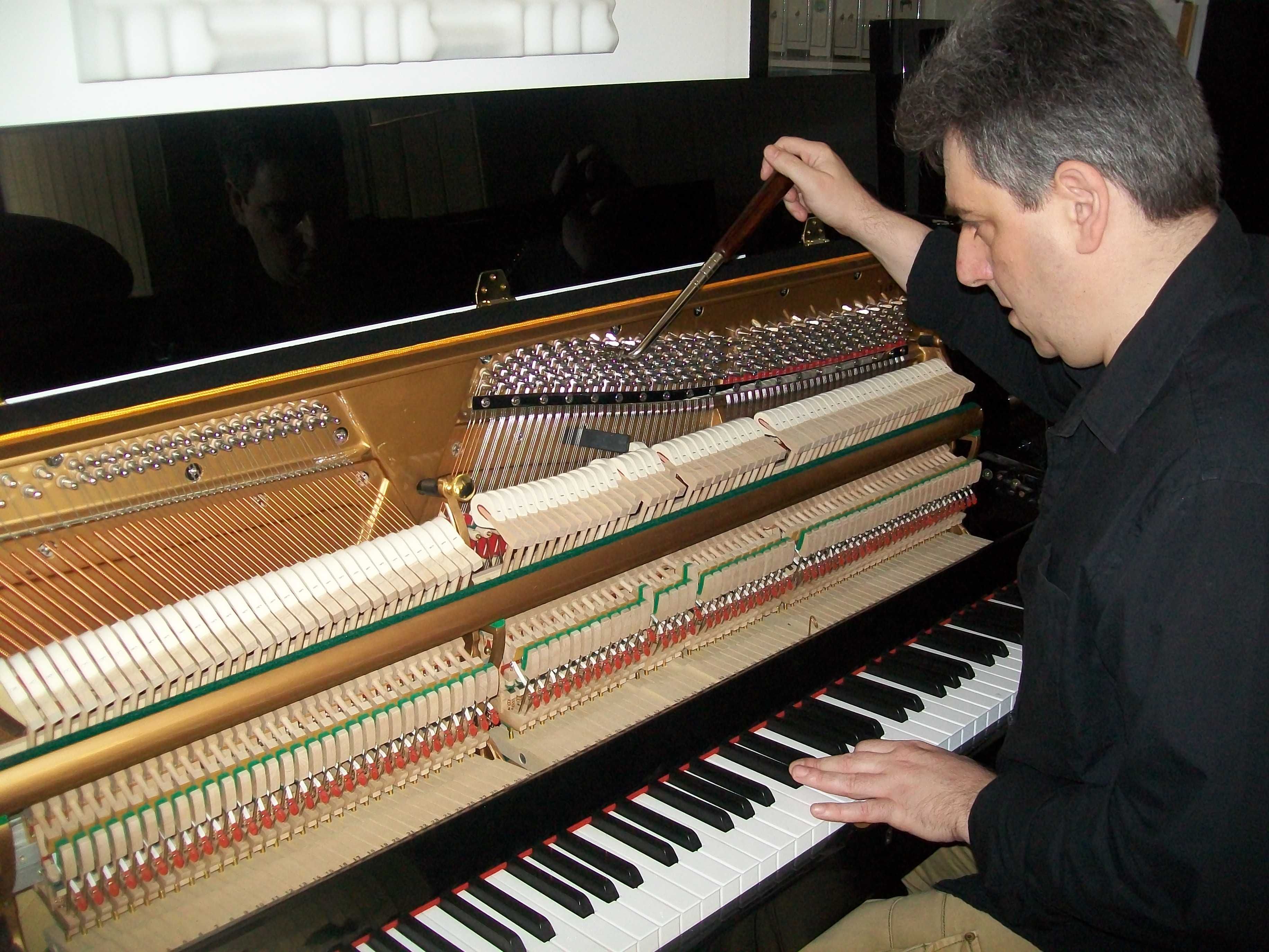 Técnico afinador de pianos.