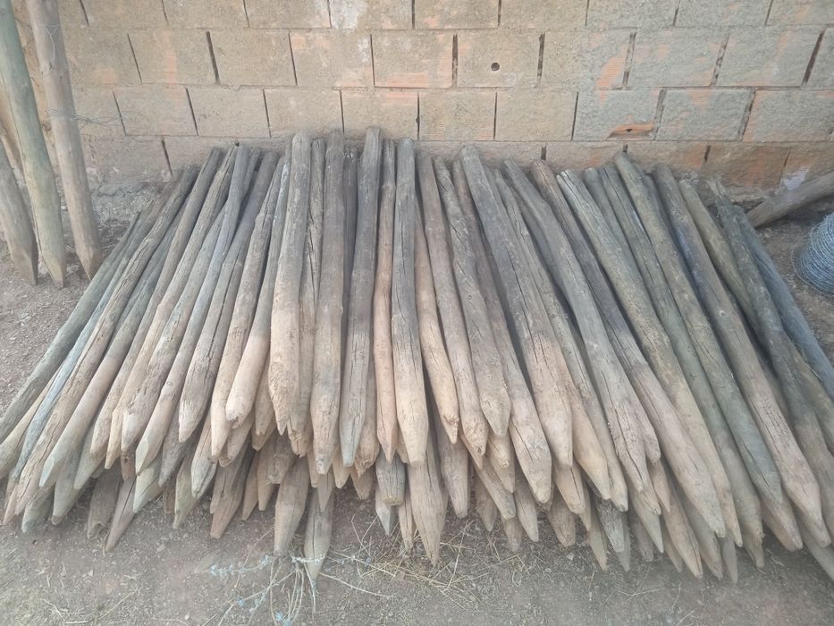 Postes de vedação tratados