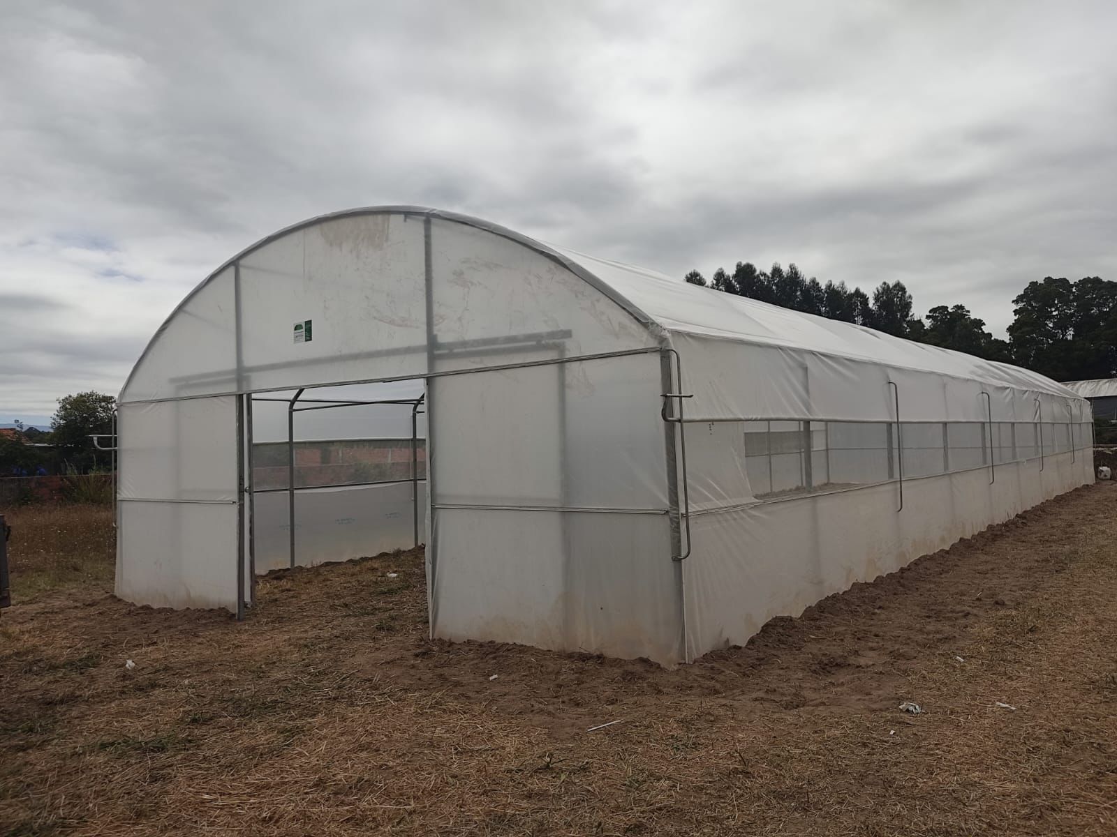 Estufas reta planta usadas