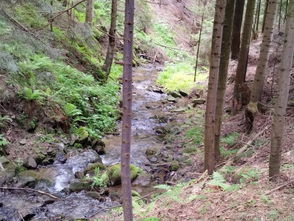 Działka rekreacyjna Beskid wyspowy