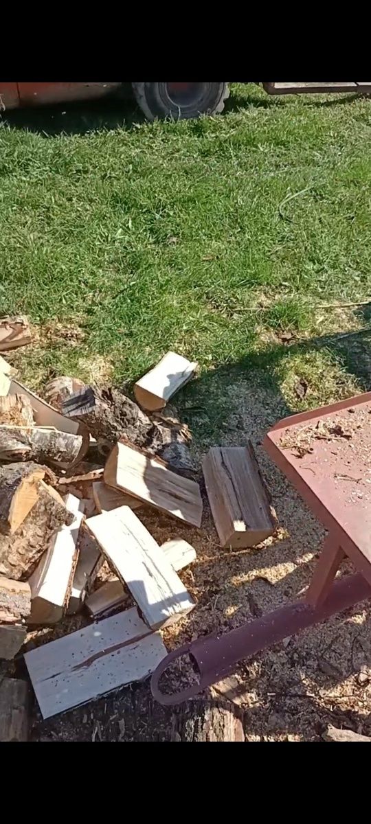 Łuparka drewno dziabanie wynajem usługa