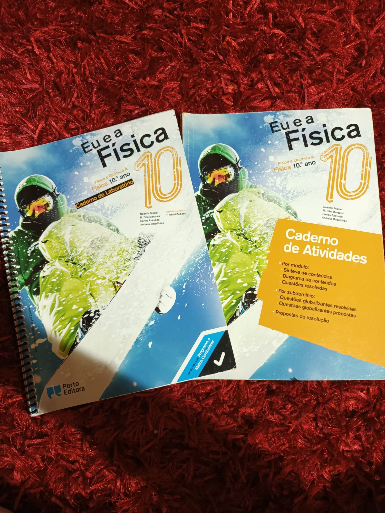 Caderno de atividades + caderno de laboratório de física 10°ano